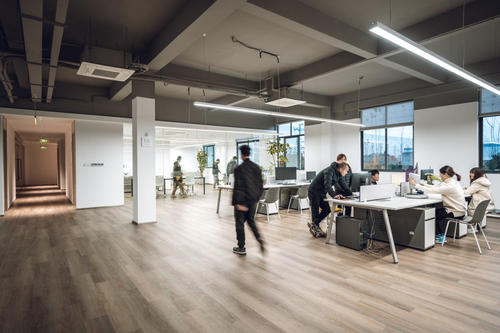 美学及数字化产品区域